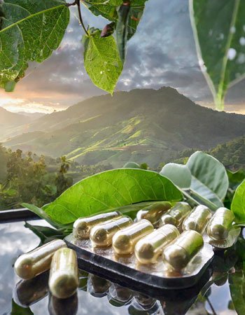Plant-based capsules and leaves